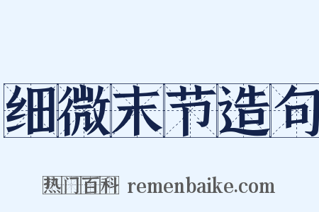 细微末节造句是什么意思的图片